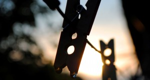 Cloth clips hanging after rain